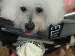 -星巴克(上海长宁来福士1F店)
