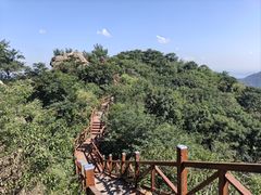 -大岭沟猕猴桃谷风景区