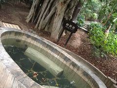 -龙达温泉生态城