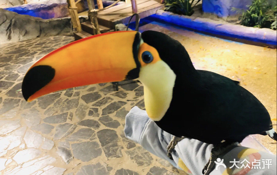 🔥爆魔都的遛娃胜地!快来打卡吧!