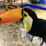 🔥爆魔都的遛娃胜地！快来打卡吧！