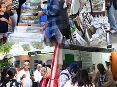 -龙环葡韵住宅式博物馆