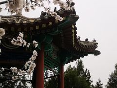 -北京凤凰岭