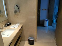 -圣爵菲斯大酒店(长沙世界之窗店)