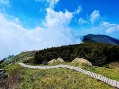 -白草畔自然风景区