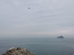 -广鹿岛景区