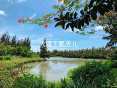 景点-白沙门生态公园