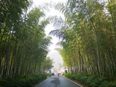 -天目湖御水温泉·度假酒店