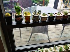 -Africafe(非洲咖啡)