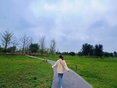 -汉长安城未央宫国家考古遗址公园