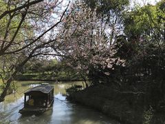 -同里国家湿地公园