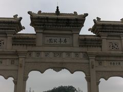 -野狸岛