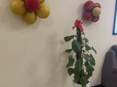-艺健口腔(南宁店)