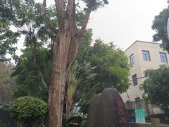 -铁路文化公园