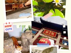 -龙华寺
