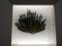 -中国茶叶博物馆(双峰馆区)