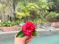 -剑河仰阿莎温泉小镇