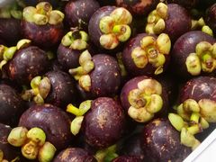 -西郊国际农产品交易中心