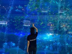 -成都浩海立方海洋公园