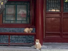 -承德避暑山庄景区