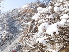 -北京凤凰岭