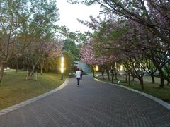 -苏州河梦清园环保主题公园