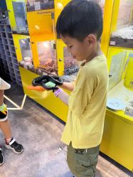 点击看大图 -神奇动物撸宠馆·羊驼·小浣熊·异宠(豫园店)