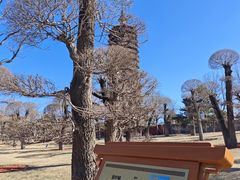 -西海子公园