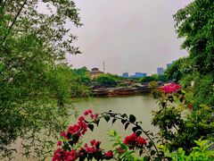 -观澜山水田园