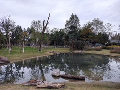 -夏河溪乡野公园