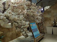-碧水豪园·足浴·SPA·汗蒸·那须汤泉(中山东路店)