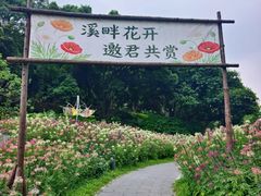-云溪植物园