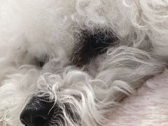 -MOI COFFEE(江山汇悦山府店)