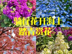 -花开海上生态园
