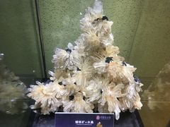 -中华赏石园
