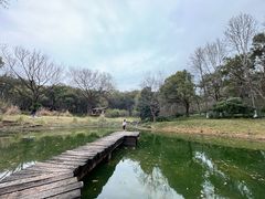 -杭州植物园