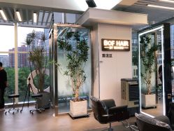 -BOF HAIR BY HONTO