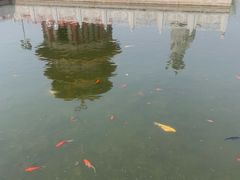 -大悲禅寺