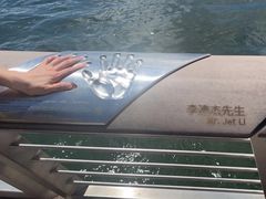 -星光大道