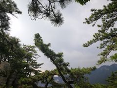 -罗田天堂寨风景区