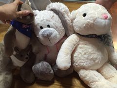 -PAWTOY爪e玩偶店(天兴罗斯福店)