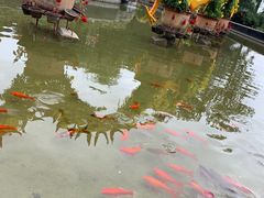 -晋祠宾馆