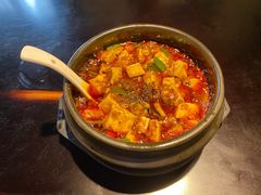 -陈麻婆豆腐总店