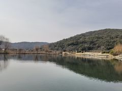 -龙寺生态园