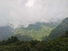 -牛背梁国家森林公园