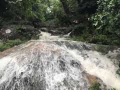 -呀诺达热带雨林