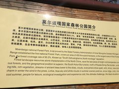 -莫尔道嘎国家森林公园