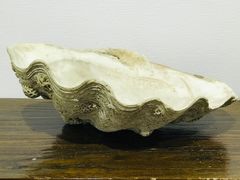-奥加美术馆