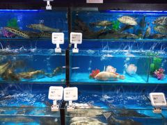 水产区-盒马鲜生(馥邦国际店)