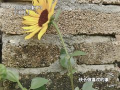 -老屋咖啡